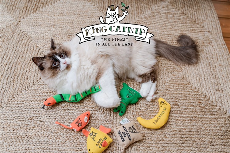King Catnip Banner